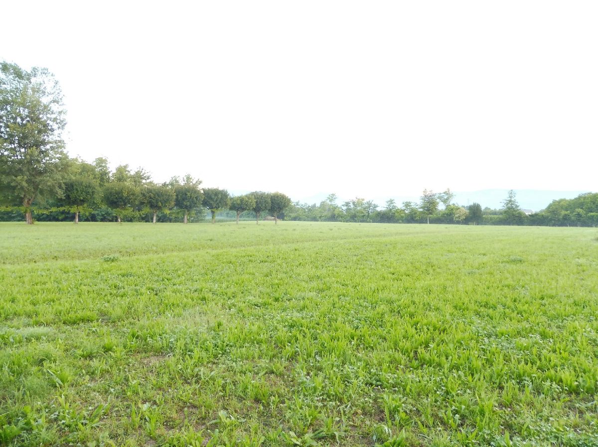 Terreno edificabile in vendita a Caldogno (VI)