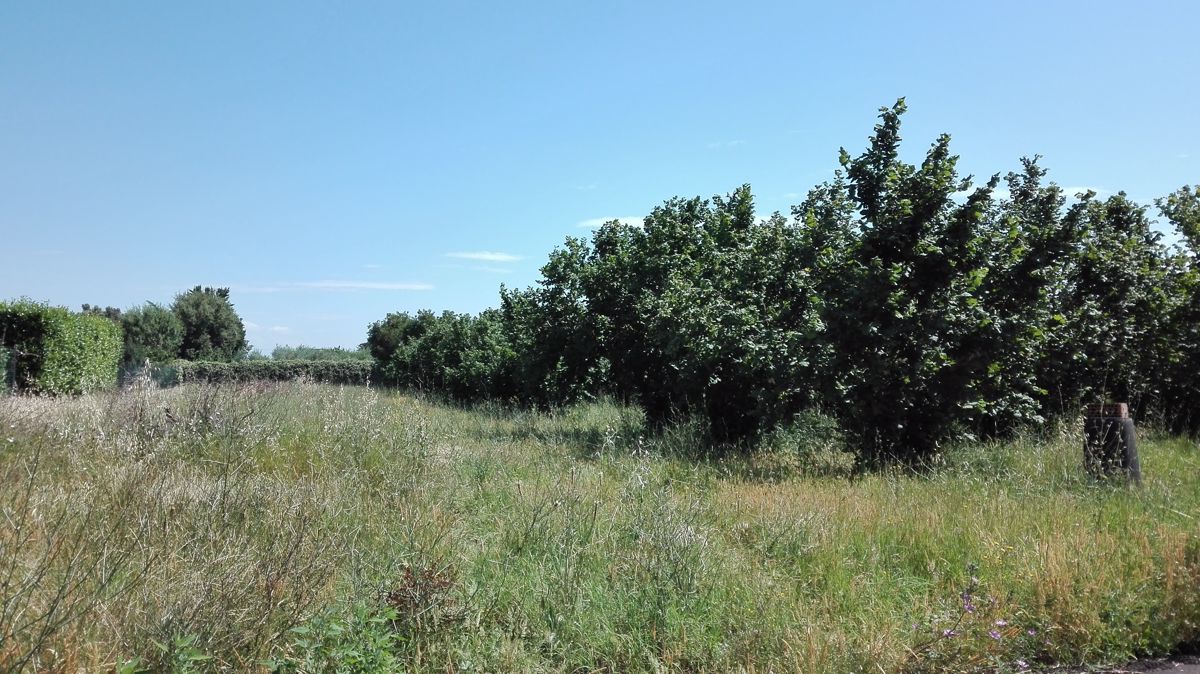 Terreno agricolo in vendita a Civita Castellana (VT)