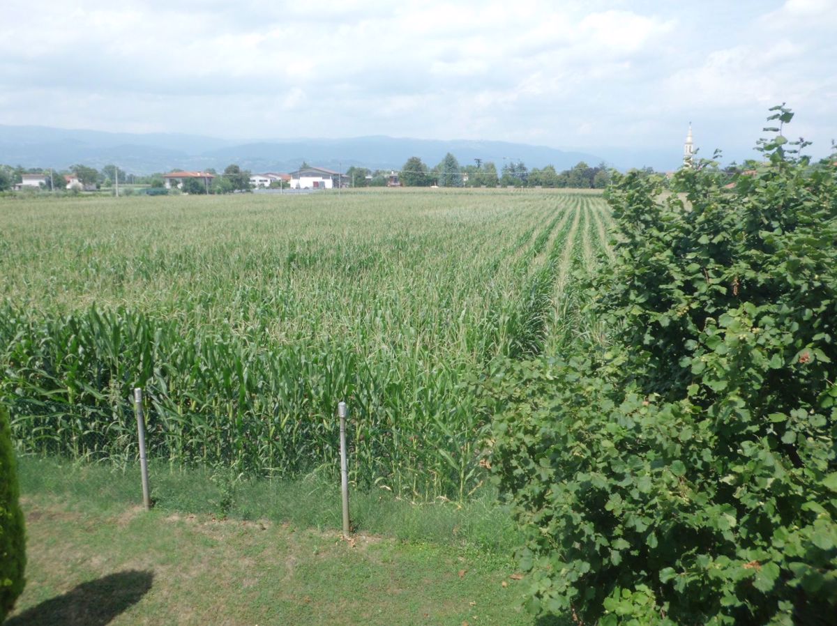 Terreno agricolo in vendita a Schiavon (VI)