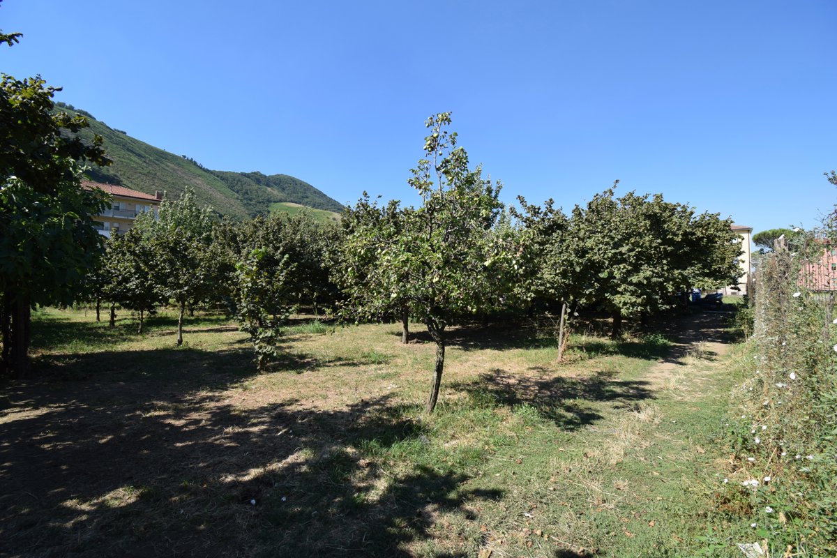 Terreno agricolo in vendita a Mercato San Severino (SA)