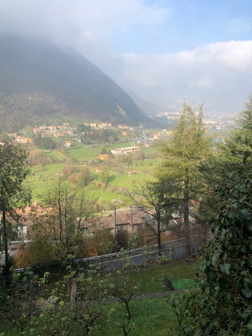 immagine annuncio