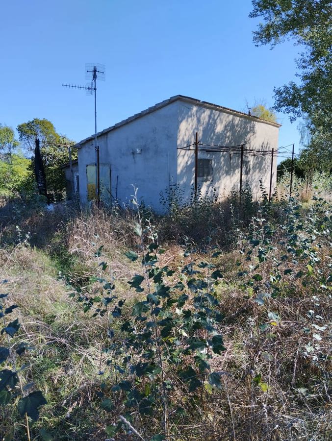 Terreno agricolo in vendita a Castiglione Della Pescaia (GR)