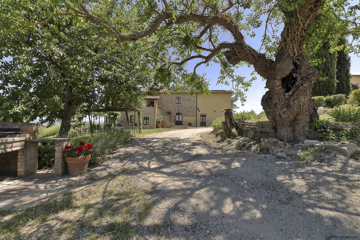 Foto 6 di 24 - Villa in vendita a Montaione