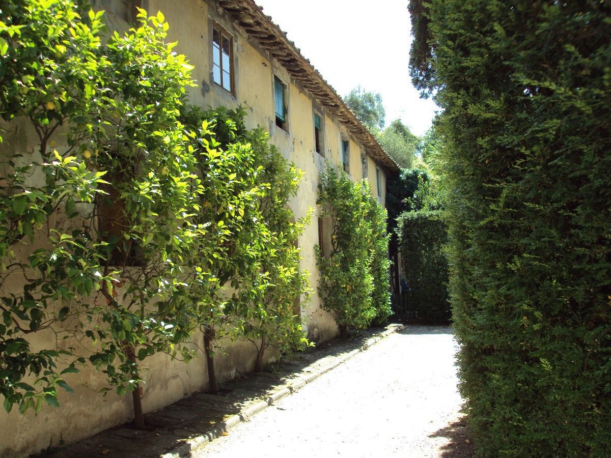 Foto 7 di 20 - Villa in vendita a Lucca