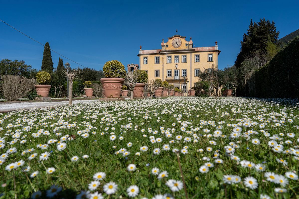 Foto 1 di 37 - Villa in vendita a Pisa